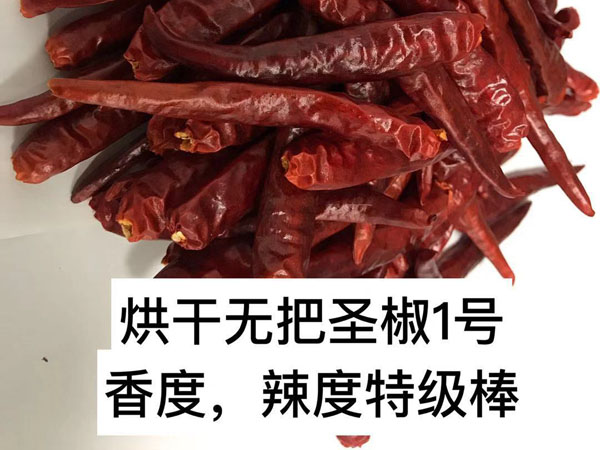 圣椒1號(hào)