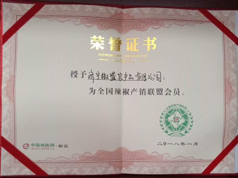 公司榮譽
