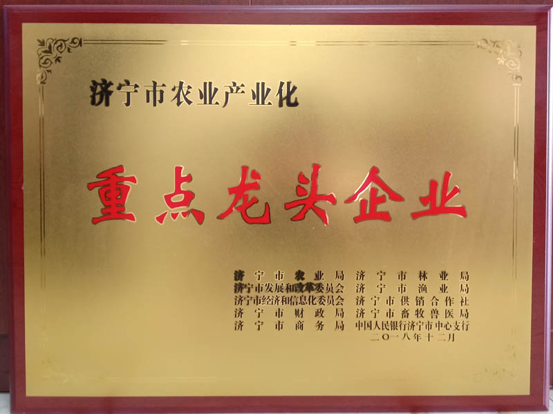 公司榮譽(yù)